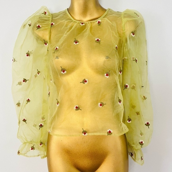 Zara Sheer Floral Puff Sleeve Top XS | Pistachio Green Romantic Euro Chic - Picture 2 of 5